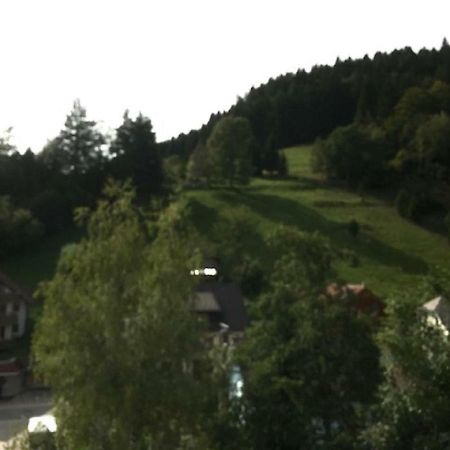 Fewo Mit Pool Haus Enere Au Тодтмос Экстерьер фото